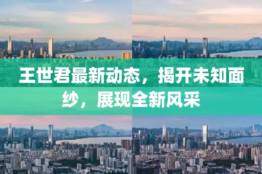王世君最新动态，揭开未知面纱，展现全新风采