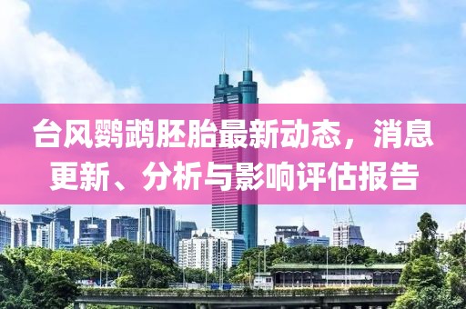 台风鹦鹉胚胎最新动态，消息更新、分析与影响评估报告