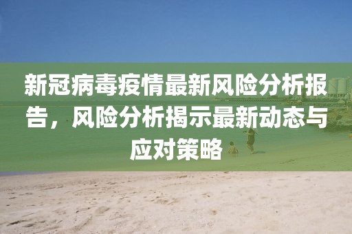 新冠病毒疫情最新风险分析报告，风险分析揭示最新动态与应对策略