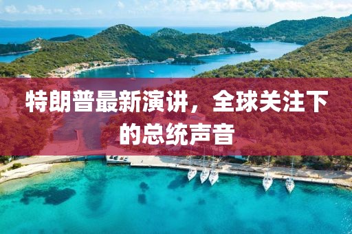 特朗普最新演讲，全球关注下的总统声音