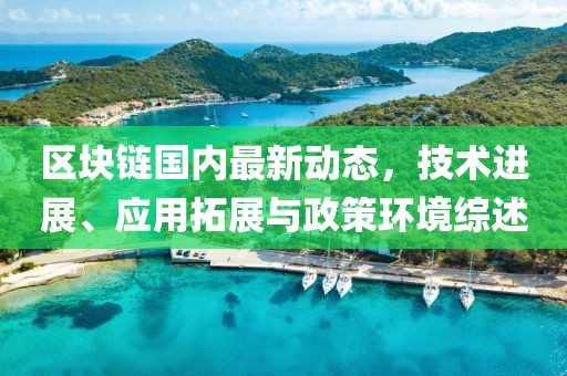 区块链国内最新动态，技术进展、应用拓展与政策环境综述