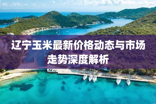 辽宁玉米最新价格动态与市场走势深度解析