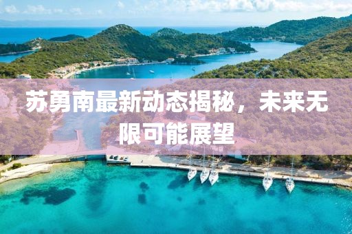 苏勇南最新动态揭秘，未来无限可能展望