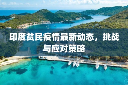 印度贫民疫情最新动态，挑战与应对策略