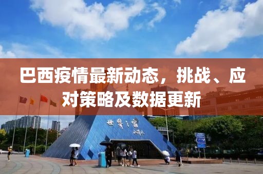 巴西疫情最新动态，挑战、应对策略及数据更新