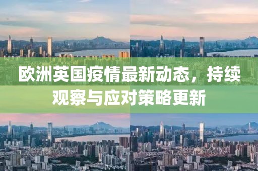 欧洲英国疫情最新动态，持续观察与应对策略更新