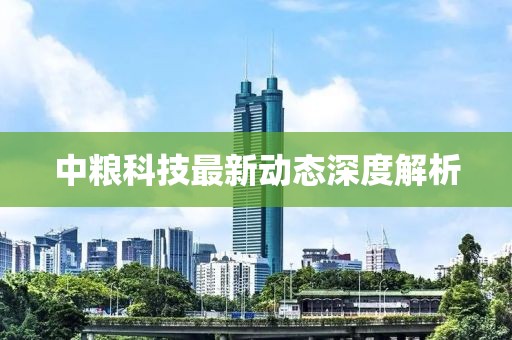 2025年2月 第382页