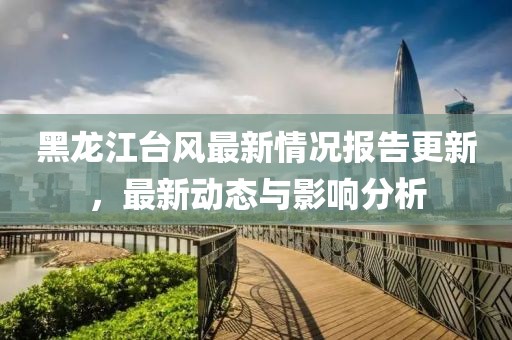 黑龙江台风最新情况报告更新，最新动态与影响分析