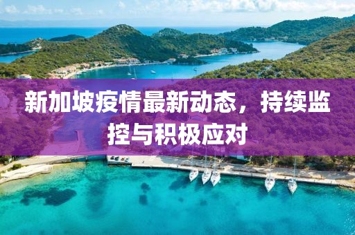 新加坡疫情最新动态，持续监控与积极应对