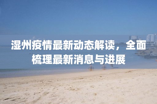 湿州疫情最新动态解读，全面梳理最新消息与进展