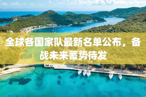 全球各国家队最新名单公布，备战未来蓄势待发