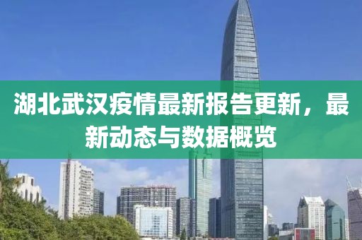湖北武汉疫情最新报告更新，最新动态与数据概览