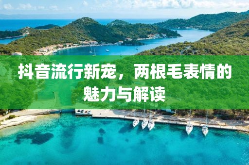 抖音流行新宠，两根毛表情的魅力与解读