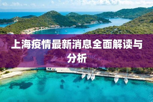 上海疫情最新消息全面解读与分析