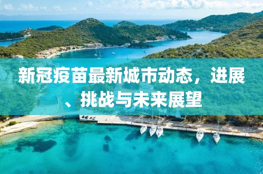 新冠疫苗最新城市动态，进展、挑战与未来展望