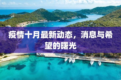 疫情十月最新动态，消息与希望的曙光