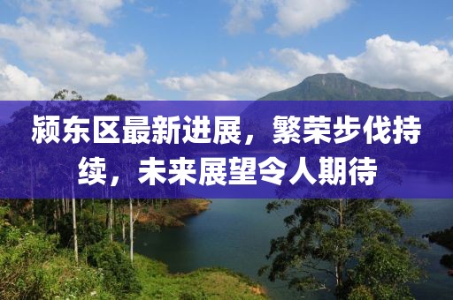 颍东区最新进展，繁荣步伐持续，未来展望令人期待