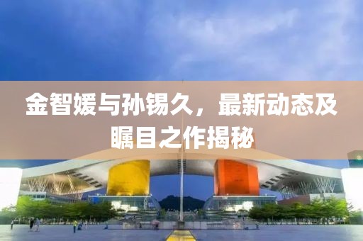 金智媛与孙锡久，最新动态及瞩目之作揭秘