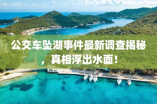 公交车坠湖事件最新调查揭秘，真相浮出水面！