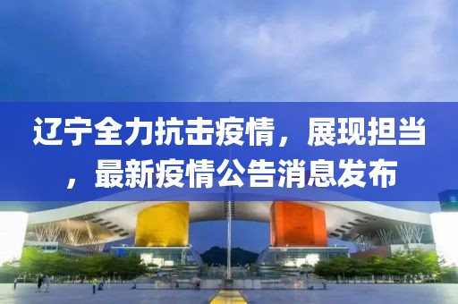 辽宁全力抗击疫情，展现担当，最新疫情公告消息发布