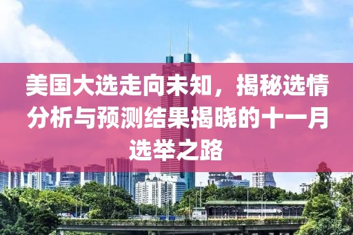 美国大选走向未知，揭秘选情分析与预测结果揭晓的十一月选举之路