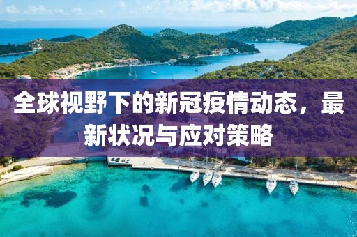 全球视野下的新冠疫情动态，最新状况与应对策略