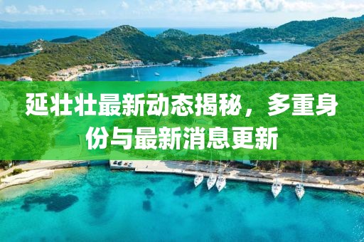 延壮壮最新动态揭秘，多重身份与最新消息更新
