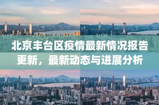 北京丰台区疫情最新情况报告更新，最新动态与进展分析