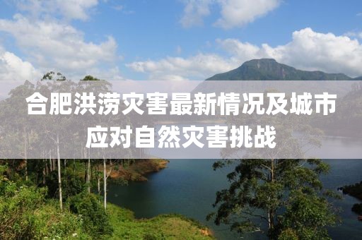 合肥洪涝灾害最新情况及城市应对自然灾害挑战