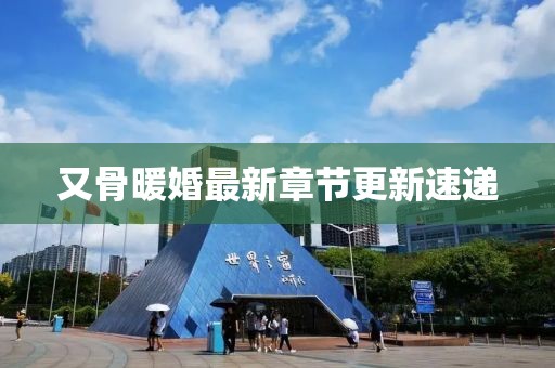 又骨暖婚最新章节更新速递