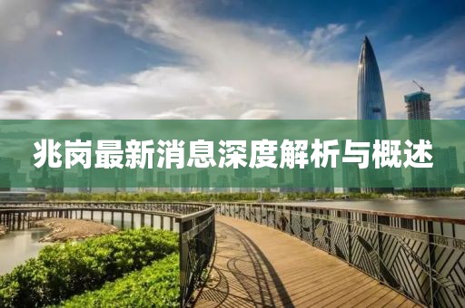 兆岗最新消息深度解析与概述