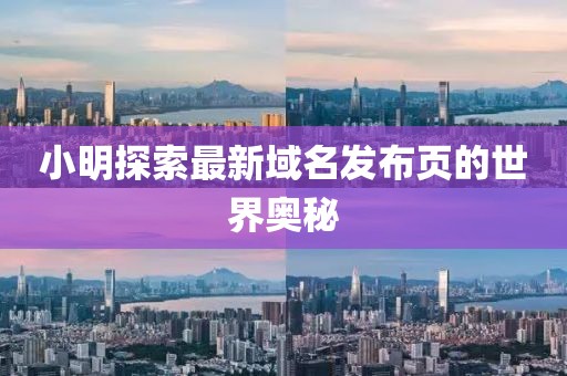小明探索最新域名发布页的世界奥秘