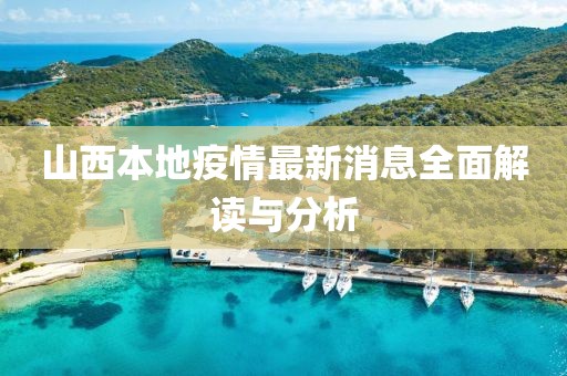 山西本地疫情最新消息全面解读与分析