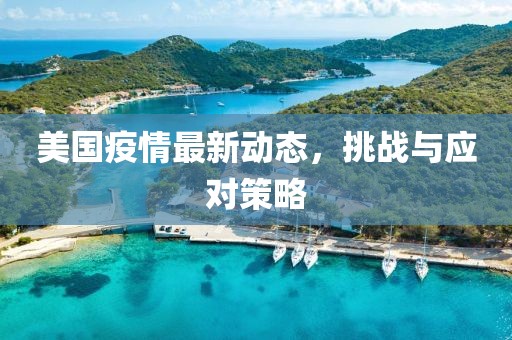 美国疫情最新动态，挑战与应对策略