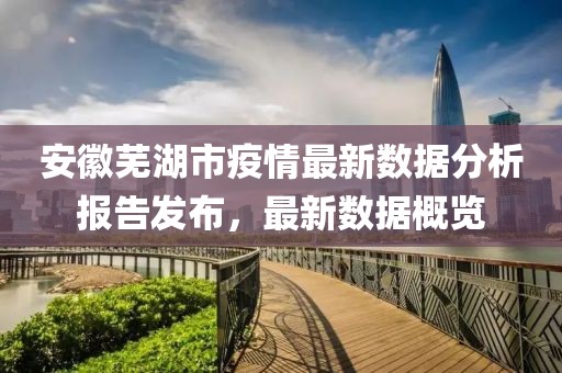 安徽芜湖市疫情最新数据分析报告发布，最新数据概览