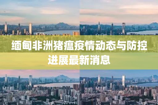 缅甸非洲猪瘟疫情动态与防控进展最新消息