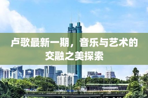 卢歌最新一期，音乐与艺术的交融之美探索