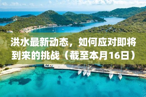 洪水最新动态，如何应对即将到来的挑战（截至本月16日）
