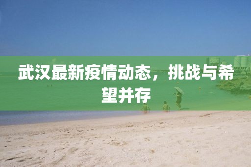 武汉最新疫情动态，挑战与希望并存