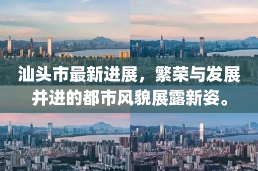 吾献 第5页