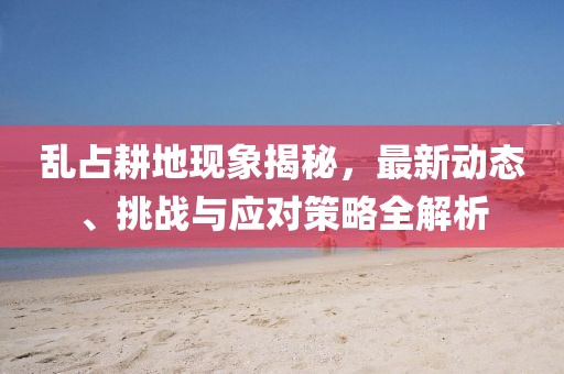 乱占耕地现象揭秘，最新动态、挑战与应对策略全解析
