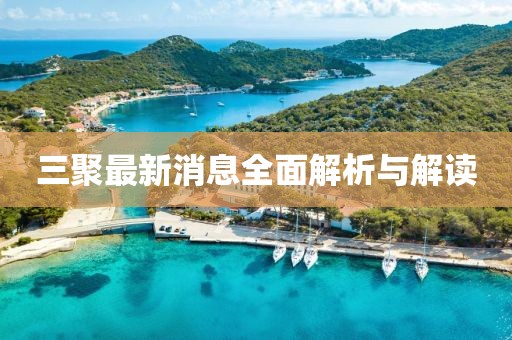 三聚最新消息全面解析与解读