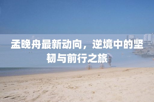 孟晚舟最新动向，逆境中的坚韧与前行之旅