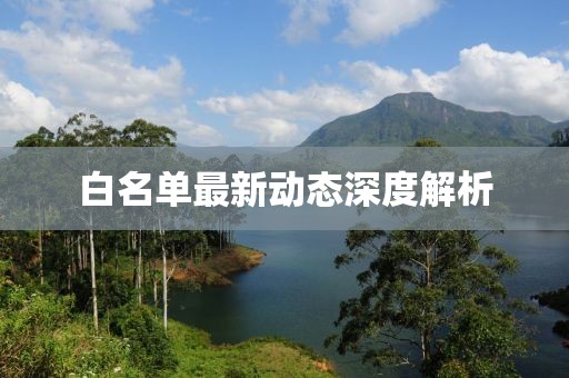 白名单最新动态深度解析