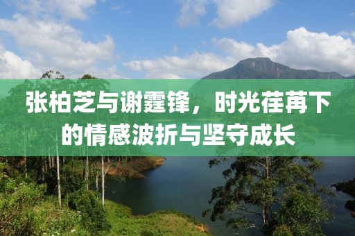 张柏芝与谢霆锋，时光荏苒下的情感波折与坚守成长
