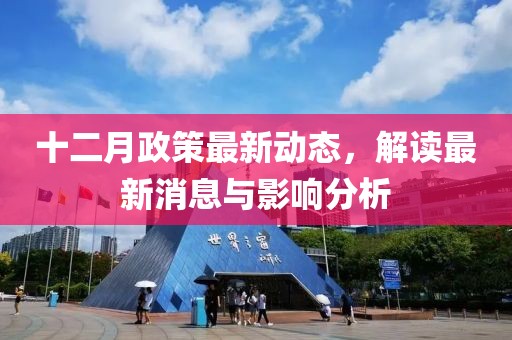 十二月政策最新动态，解读最新消息与影响分析