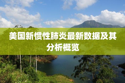 美国新惯性肺炎最新数据及其分析概览