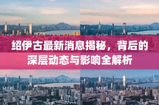 绍伊古最新消息揭秘，背后的深层动态与影响全解析