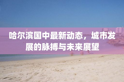 哈尔滨国中最新动态，城市发展的脉搏与未来展望