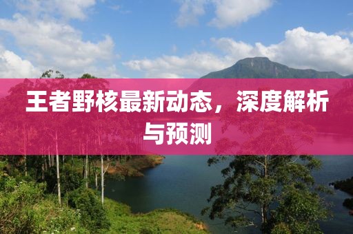 王者野核最新动态，深度解析与预测